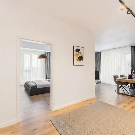 Koa - Fidelio Брашов